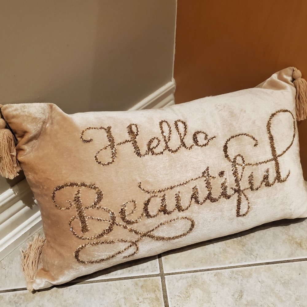 Pink velvet emblished throw pillows